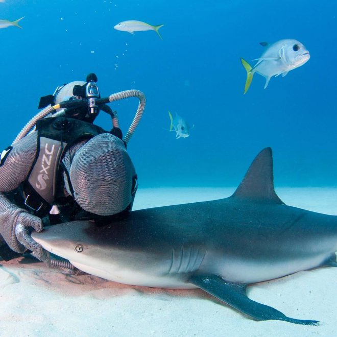 people-of-water-sharks-cristina-zenato-3