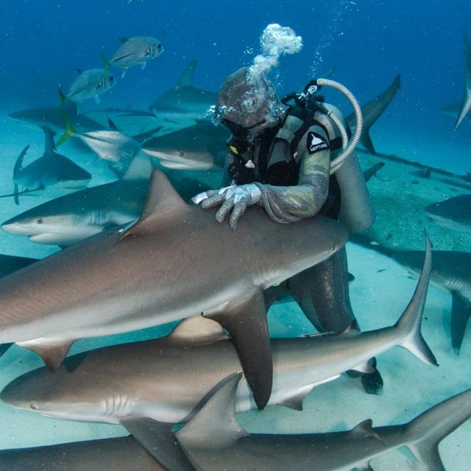 people-of-water-sharks-cristina-zenato-5